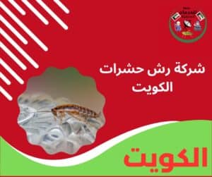 شركة رش حشرات الكويت