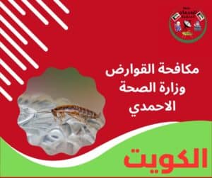 مكافحة القوارض وزارة الصحة الاحمدي