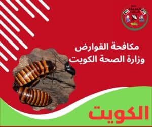 مكافحة القوارض وزارة الصحة الكويت