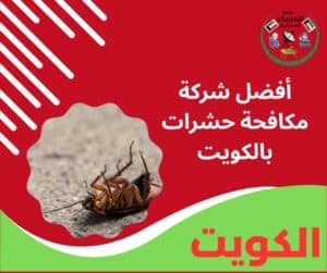 أفضل شركة مكافحة حشرات بالكويت