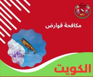 مكافحة قوارض