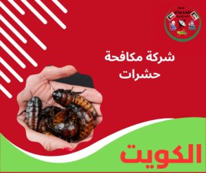 شركة مكافحة حشرات
