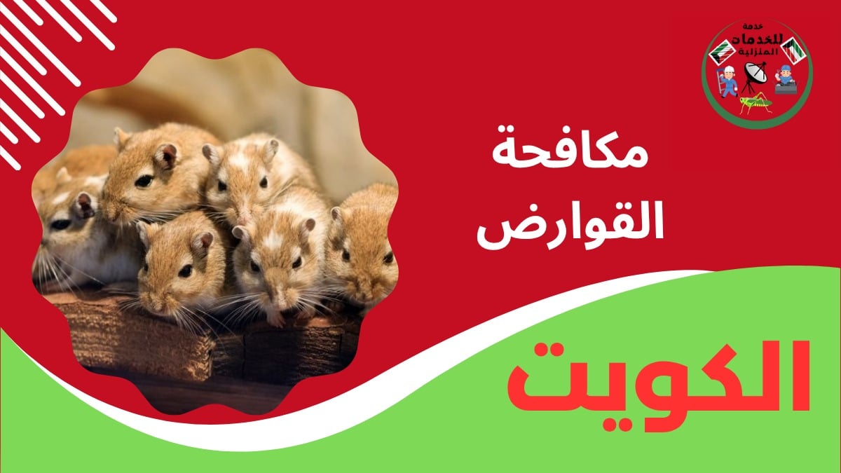 مكافحة القوارض