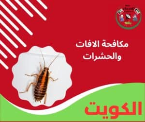 مكافحة الافات والحشرات