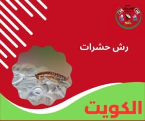 رش حشرات