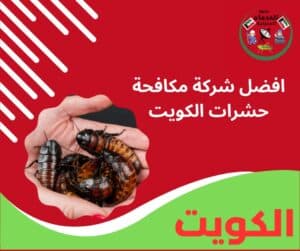 افضل شركة مكافحة حشرات الكويت