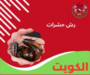 رش حشرات
