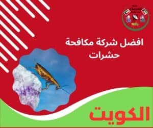 افضل شركة مكافحة حشرات