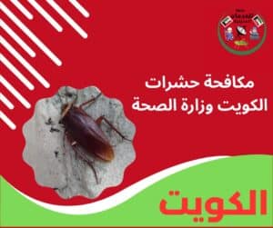 مكافحة حشرات الكويت وزارة الصحة