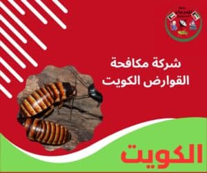 شركة مكافحة القوارض الكويت