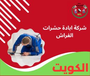 شركة ابادة حشرات الفراش