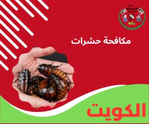 مكافحة حشرات