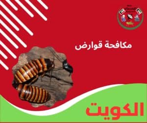 مكافحة قوارض