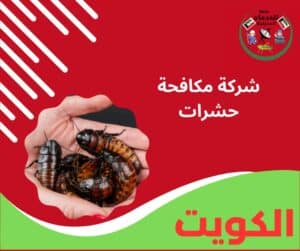شركة مكافحة حشرات