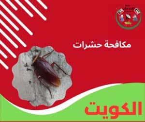 مكافحة حشرات