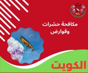 مكافحة حشرات وقوارض