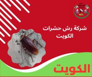 شركة رش حشرات الكويت