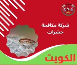 شركة مكافحة حشرات
