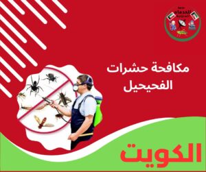 مكافحة حشرات الفحيحيل