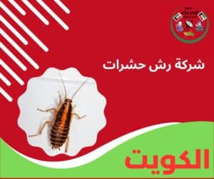 شركة رش حشرات