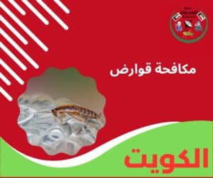 مكافحة قوارض