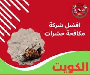 افضل شركة مكافحة حشرات