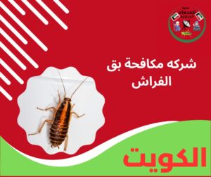 شركه مكافحة بق الفراش