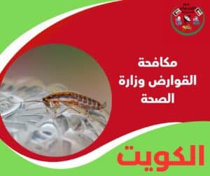 مكافحة القوارض وزارة الصحة