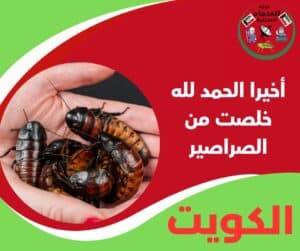 أخيرا الحمد لله خلصت من الصراصير