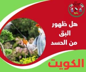 هل ظهور البق من الحسد