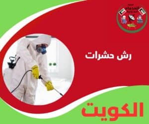 رش حشرات