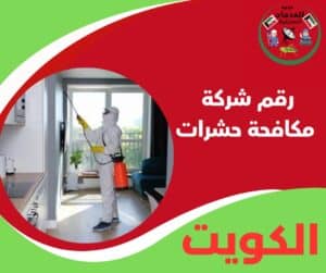 رقم شركة مكافحة حشرات