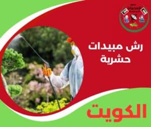رش مبيدات حشرية رش مبيدات حشرية