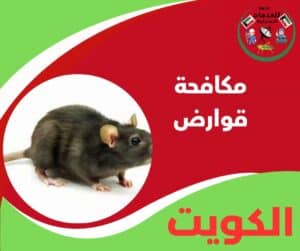 مكافحة قوارض