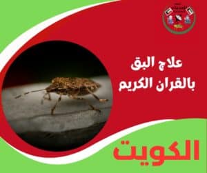 علاج البق بالقرآن الكريم