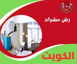 رش حشرات