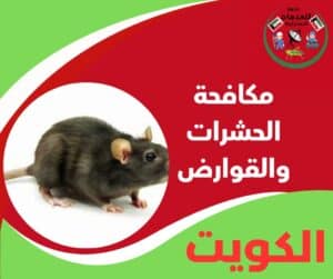 مكافحة الحشرات والقوارض