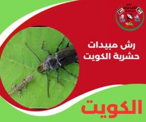 رش مبيدات حشرية الكويت