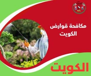مكافحة قوارض الكويت