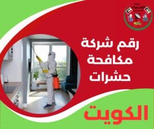 رقم شركة مكافحة حشرات