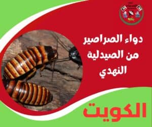 دواء الصراصير الأصلي