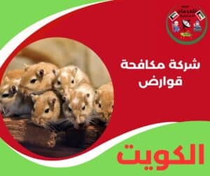 شركة مكافحة قوارض